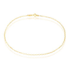 Chaine Cheville Or Jaune Maille Jaseron