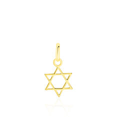 Pendentif Or Jaune Etoile De David Faye