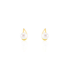 Boucles D'Oreilles  Or Jaune Et Perles
