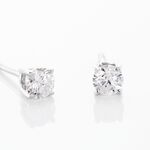 Boucles D'oreilles Puces Aphrodite Or Blanc Diamant - Puces Famille | Marc Orian