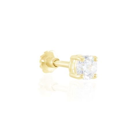 Piercing D'oreille Or Jaune Albizias Oxydes De Zirconium - Piercing Conch Femme | Marc Orian