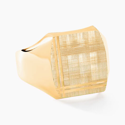 Chevali&egrave;re Jackson Or Jaune - Chevali&egrave;res Famille | Marc Orian