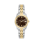 Montre Fossil Scarlette Mini Marron - Montres &eacute;tanches Femme | Marc Orian