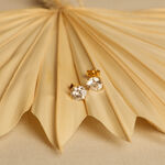 Boucles D'oreilles Puces Eddie Or Jaune Oxyde De Zirconium - Puces Femme | Marc Orian