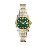 Montre Fossil Scarlette Mini Vert - Montres &eacute;tanches Femme | Marc Orian
