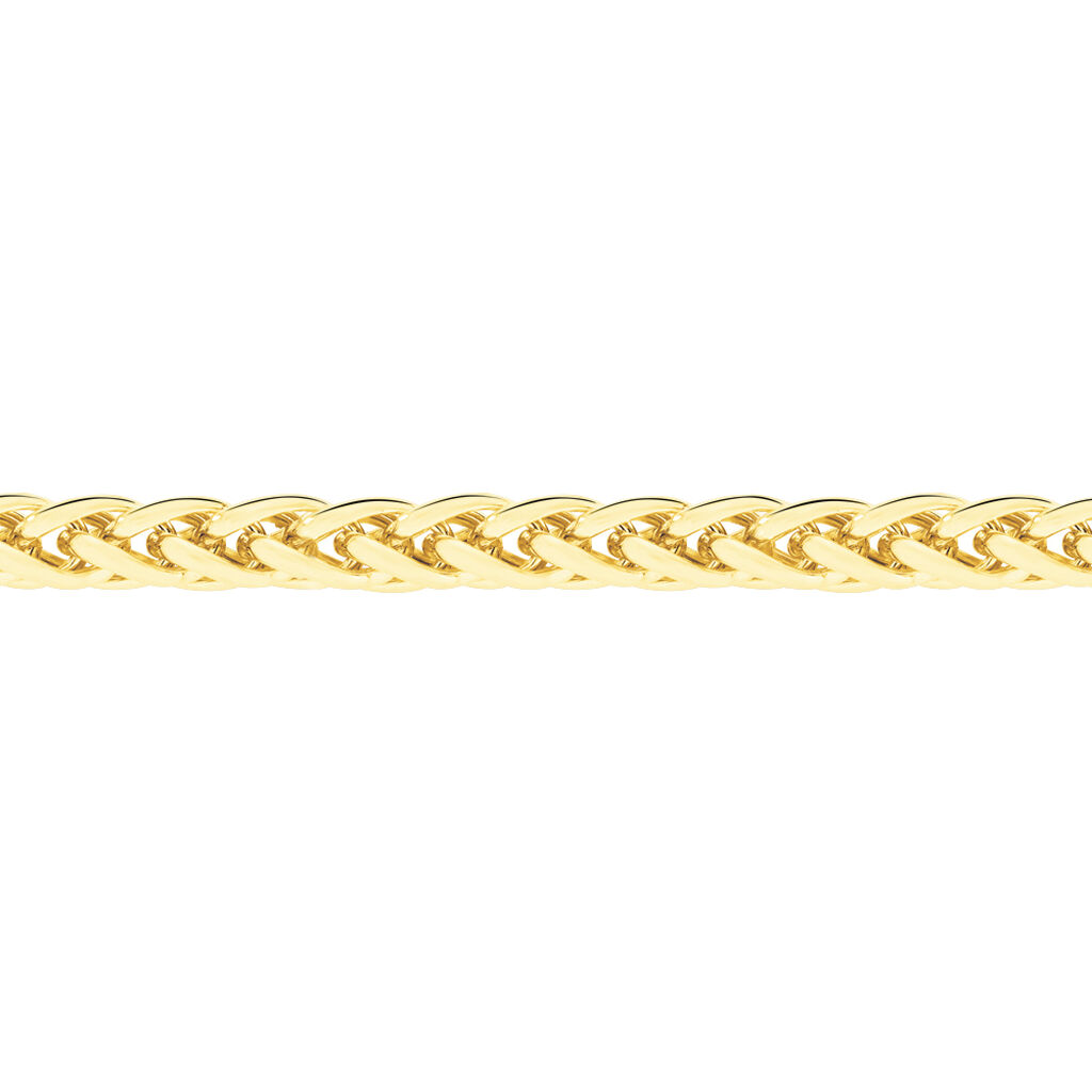 Collier Jany Danilo Maille Palmier Or Jaune - Chaines Femme | Marc Orian