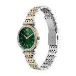 Montre Fossil Carlie Mini Vert - Montres &eacute;tanches Femme | Marc Orian