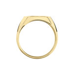 Chevali&egrave;re Leoncette Plaqu&eacute; Or Jaune - Bijoux personnalis&eacute;s Homme | Marc Orian