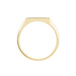 Chevali&egrave;re Lionel Plaqu&eacute; Or Jaune - Chevali&egrave;res Homme | Marc Orian