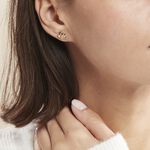 Boucles D'oreilles Puces Plaqu&eacute; Or Jaune Amato Oxydes De Zirconium - Puces Femme | Marc Orian