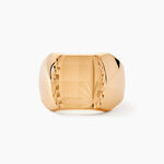 Chevali&egrave;re Leoncette Plaqu&eacute; Or Jaune - Bijoux personnalis&eacute;s Homme | Marc Orian