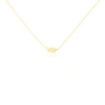 Collier Carla-rose Or Jaune - Colliers ete Femme | Marc Orian