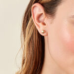 Boucles D'oreilles Puces Bernia Or Jaune - Puces Femme | Marc Orian