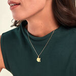 Pendentif Pietronella Or Jaune - Pendentifs Famille | Marc Orian