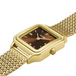 Montre Cluse Gracieuse Petite Marron - Montres &eacute;tanches Femme | Marc Orian