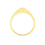 Chevaliere Maxime Or Jaune Oxyde - Solitaires Famille | Marc Orian