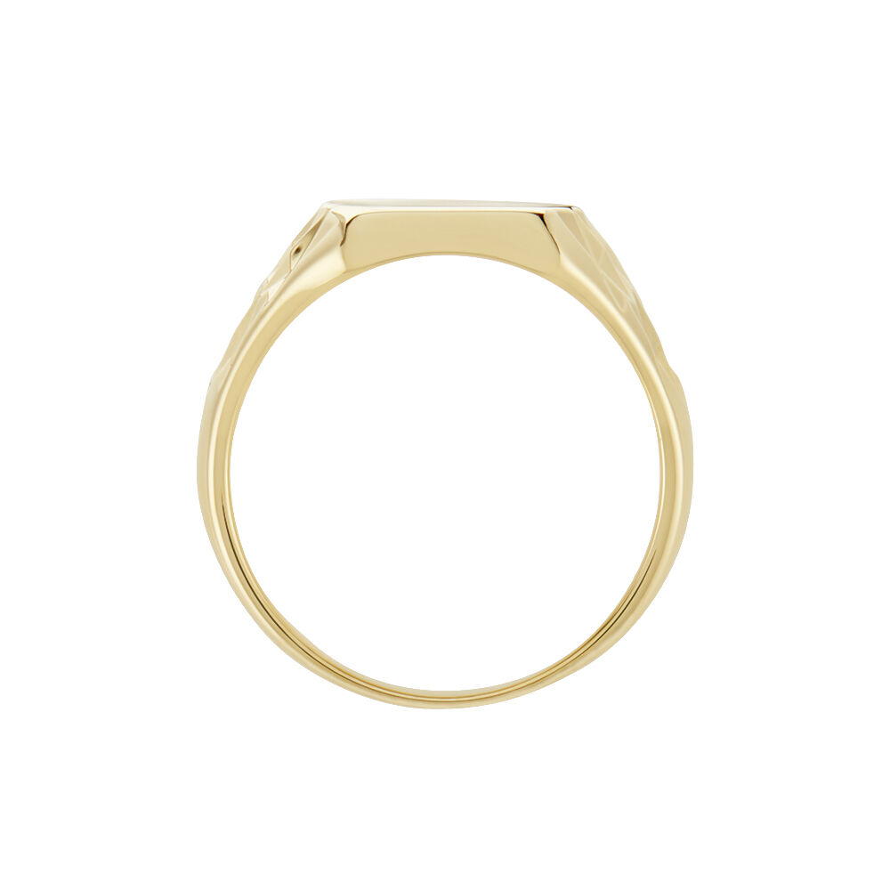 Chevali&egrave;re Leons Plaqu&eacute; Or - Bijoux fantaisie Homme | Marc Orian