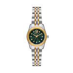 Montre Michael Kors Petite Lexington Vert - Montres &eacute;tanches Femme | Marc Orian