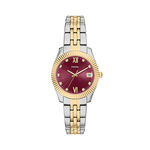 Montre Fossil Scarlette Mini Violet - Montres &eacute;tanches Femme | Marc Orian