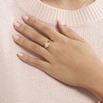 Chevali&egrave;re Gregoire Plaqu&eacute; Or Jaune - Bijoux fantaisie Famille | Marc Orian