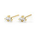 Boucles D'oreilles Puces Amandia Or Jaune Oxyde De Zirconium - Puces Femme | Marc Orian