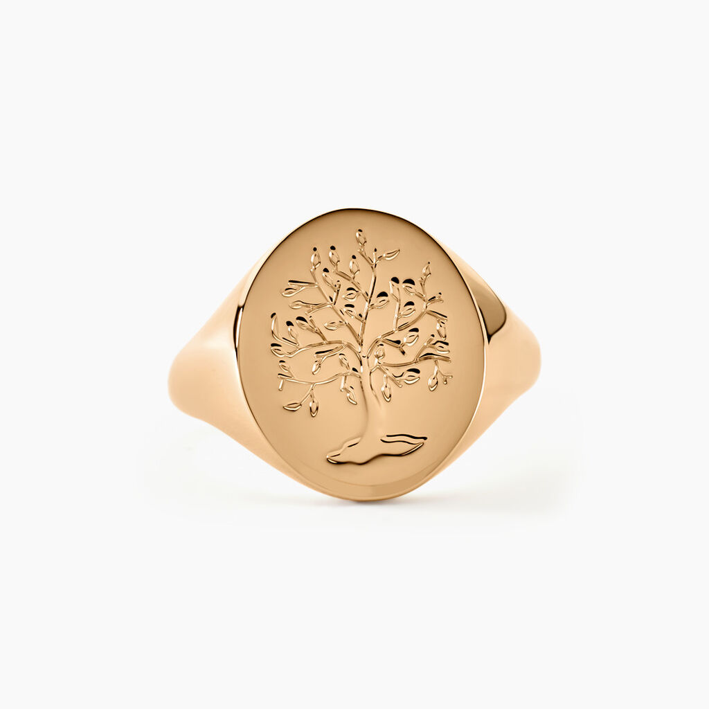 Chevali&egrave;re Gautier Plaqu&eacute; Or - Chevali&egrave;res Homme | Marc Orian