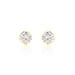 Boucles D'oreilles Puces Eddie Or Jaune Oxyde De Zirconium - Puces Femme | Marc Orian