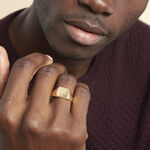 Chevali&egrave;re Rafael Plaqu&eacute; Or Jaune - Chevali&egrave;res Homme | Marc Orian