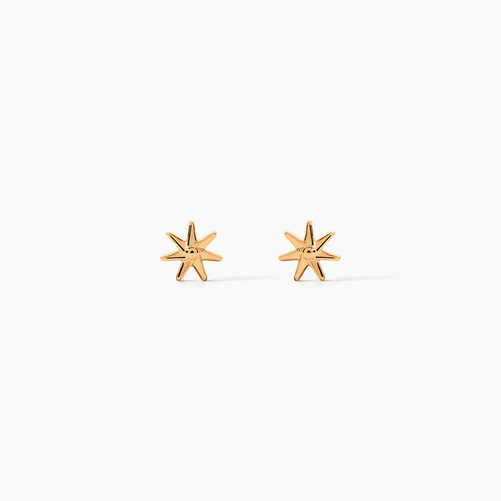 Boucles D'Oreilles Puces Shania Plaqu&eacute; Or Jaune - Puces Femme | Marc Orian