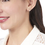 Boucles D'oreilles Puces Hortensia Plaque Or Jaune Oxyde De Zirconium - Puces Femme | Marc Orian