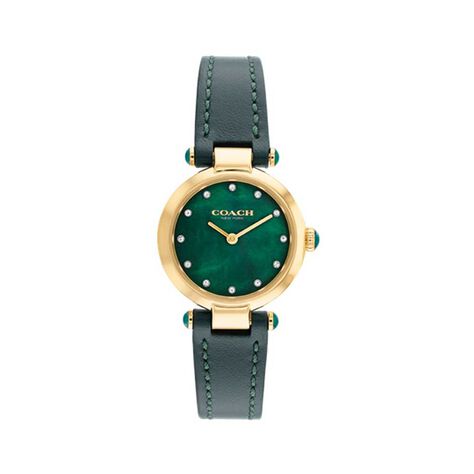 Montre Coach Cary Vert - Montres &eacute;tanches Femme | Marc Orian