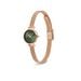 Montre Daniel Wellington Petite Mini Vert - Montres étanches Femme | Marc Orian
