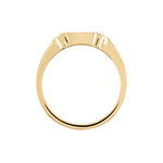 Chevali&egrave;re Darian Plaqu&eacute; Or Jaune - Bijoux fantaisie Femme | Marc Orian