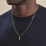 Pendentif Illide Hippocampe Or Jaune - Pendentifs Famille | Marc Orian
