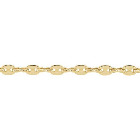 Collier William Plaqué Or Jaune - Chaines Femme | Marc Orian