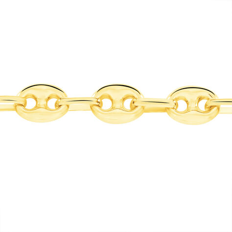 Collier Dami Maille Grain De Cafe Or Jaune - Chaines Homme | Marc Orian