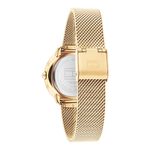 Montre Tommy Hilfiger Demi Dor&eacute; - Montres &eacute;tanches Femme | Marc Orian