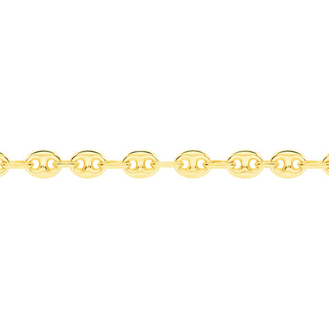 Collier Maille Dami Maille Grain De Cafe Or Jaune - Chaines Homme | Marc Orian