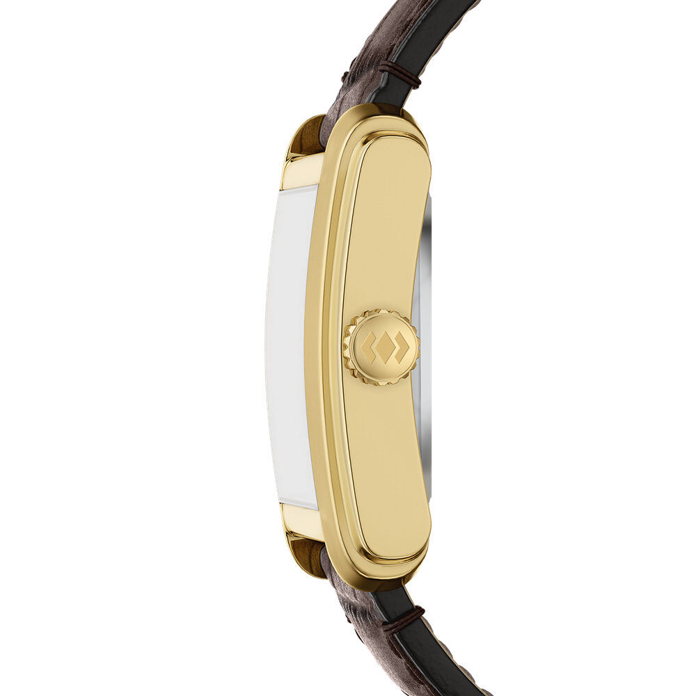 Montre Fossil Carraway Automatic Marron - Montres automatiques Homme | Marc Orian