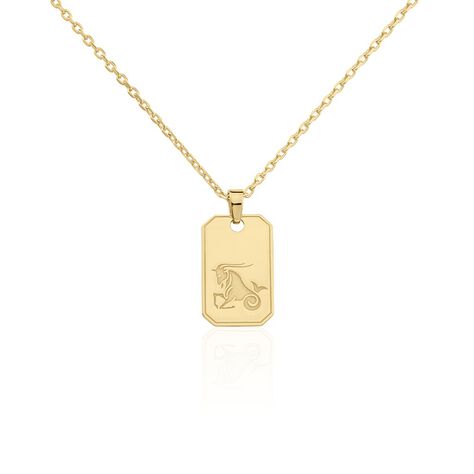 Collier Plaqué Or Quintien - Colliers Homme | Marc Orian