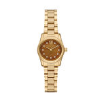 Montre Michael Kors Petite Lexington Marron - Montres &eacute;tanches Femme | Marc Orian