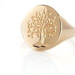 Chevali&egrave;re Gautier Plaqu&eacute; Or - Chevali&egrave;res Homme | Marc Orian