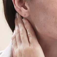 Boucles D'oreilles Puces Or Jaune Fidelia - Clous d'oreilles Femme | Marc Orian
