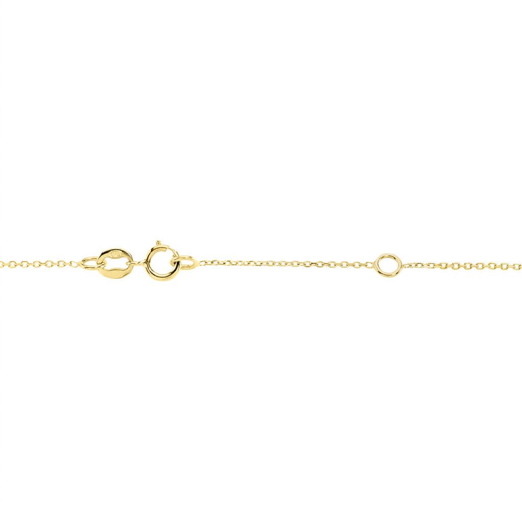 Collier Catane Or Jaune - Colliers Femme | Marc Orian