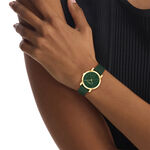 Montre Calvin Klein Monogram Vert - Montres &eacute;tanches Femme | Marc Orian