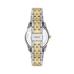 Montre Fossil Scarlette Noir - Montres &eacute;tanches Femme | Marc Orian