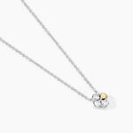 Collier Or Jaune Argent Blanc Oxyde De Zirconium - Colliers avec pierres Femme | Marc Orian