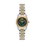 Montre Michael Kors Petite Lexington Vert - Montres &eacute;tanches Femme | Marc Orian