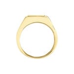 Chevali&egrave;re Chus Or Jaune - Chevali&egrave;res Homme | Marc Orian