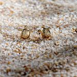 Boucles D'oreilles Puces Almahae Tortue Or Jaune - Puces Famille | Marc Orian